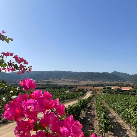Agriturismo Campesi Casale Tra Le Vigne Aglientu Exterior foto