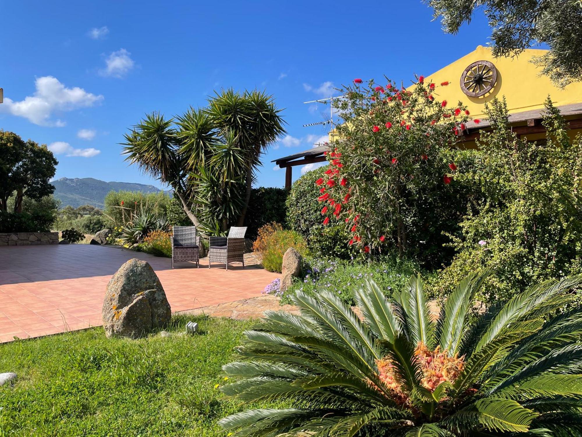 Agriturismo Campesi Casale Tra Le Vigne Aglientu Exterior foto
