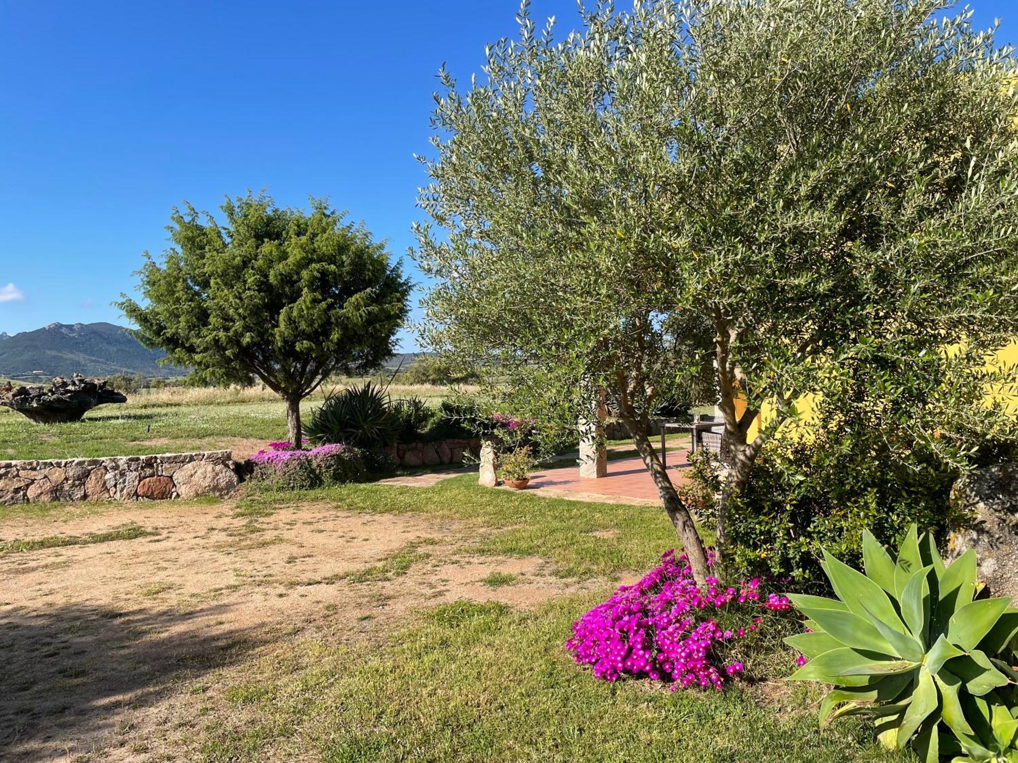 Agriturismo Campesi Casale Tra Le Vigne Aglientu Exterior foto