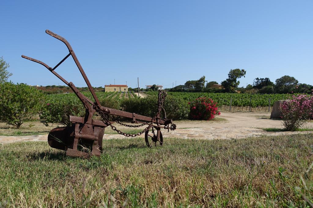 Agriturismo Campesi Casale Tra Le Vigne Aglientu Exterior foto