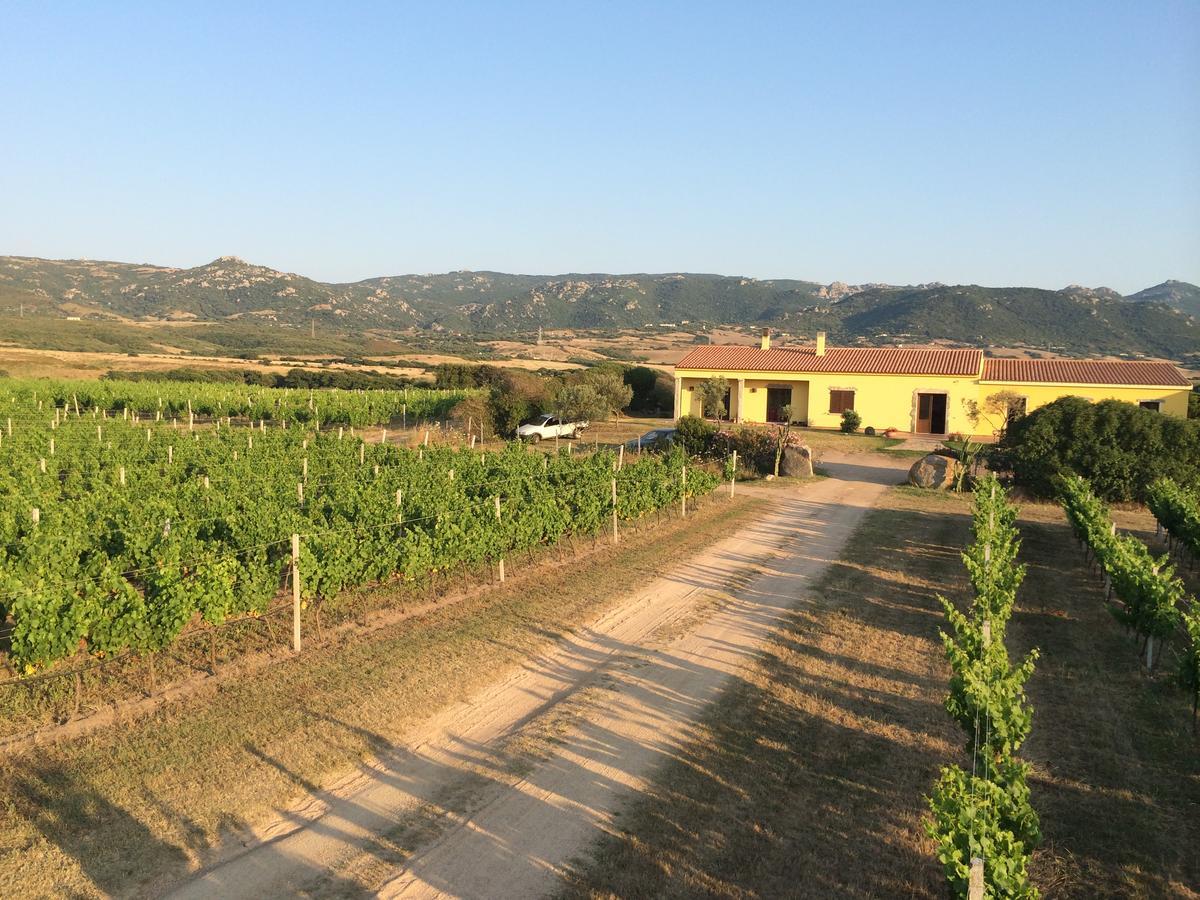 Agriturismo Campesi Casale Tra Le Vigne Aglientu Exterior foto