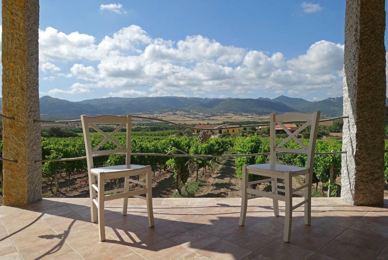 Agriturismo Campesi Casale Tra Le Vigne Aglientu Exterior foto