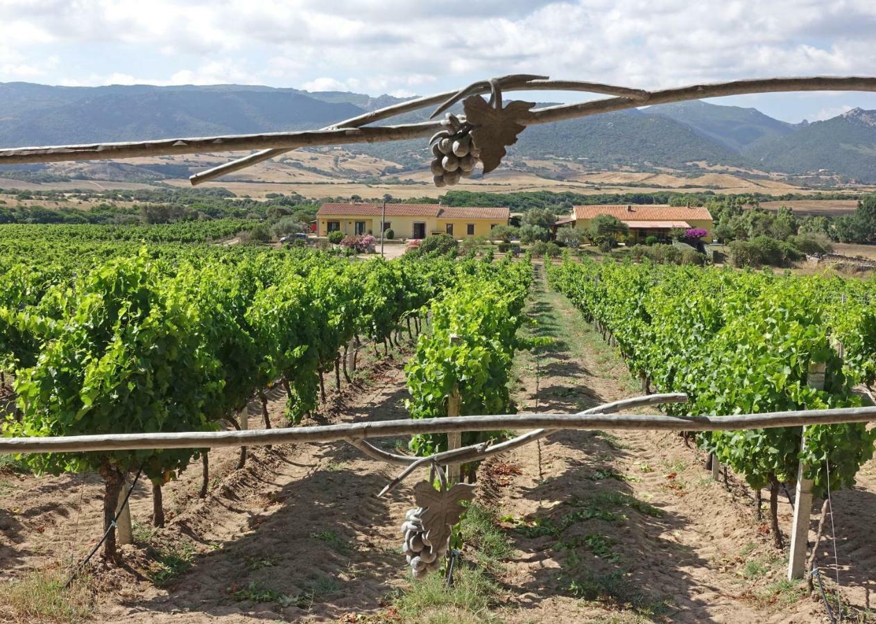 Agriturismo Campesi Casale Tra Le Vigne Aglientu Exterior foto