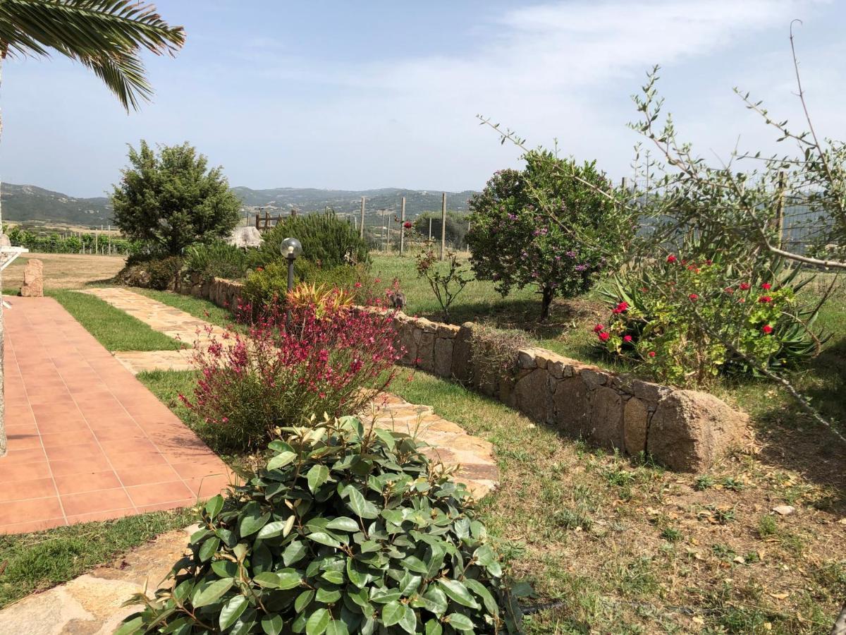 Agriturismo Campesi Casale Tra Le Vigne Aglientu Exterior foto